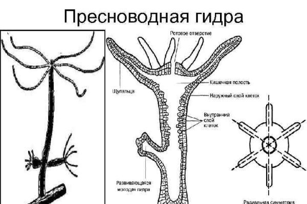 Кракен прямая ссылка